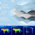 Lesure Premium Cooling Blankets for Small Dogs - Washable Small Dog Cooling Throw Blanket with Q-MAX>0.4?Durable Self Cooling Pet Mat for Cat, Sof...