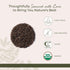 Starwest Botanicals Organic Tulsi Holy Basil - Dried Loose Leaf Herb for Tea & Cooking, Pure & Natural Ocimum Tenuiflorum (Rama), Cut & Sifted, Ce...