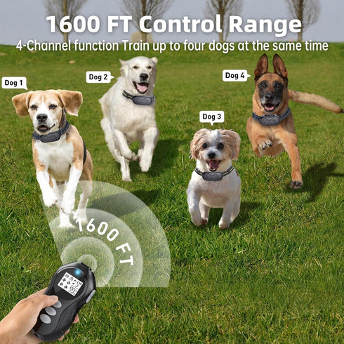 Rechargeable Dog Training Collar with Remote - Waterproof Dog Shock Collar, E Collar, for 20-150 lb Dogs, with Flashlight, Beep, Vibration, Shock ...