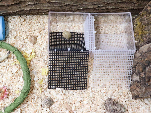 Hermit Crab Water Tank with Climbing Ramp, Hermit Crab Climbing Toy, Hermit Crab Habitat, Hermit Crab Pool Supplies, Aquarium Tank Cage Accessorie...