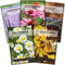 Sow Right Seeds - Medicinal Herb Seed Collection for Planting - Roman Chamomile, Echinacea, Lavender, St. John’s Wort & Hyssop - Non-GMO Heirloom ...