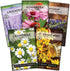 Sow Right Seeds - Medicinal Herb Seed Collection for Planting - Roman Chamomile, Echinacea, Lavender, St. John’s Wort & Hyssop - Non-GMO Heirloom ...
