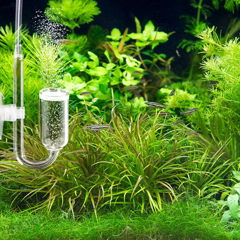 CO2 Diffuser U Shape for Aquarium Fish Tank Pollen Glass CO2 Bubble Diffuser Air Pump Check Valve for Aquaneat Aquarium Planted...