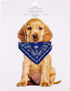 Crystal Studded Blue Bandana Pet Accessory - Hypoallergenic Polyester for Male and Female Dogs - Small Size Fits Chihuahua, Yorkie, Mini Breeds - ...