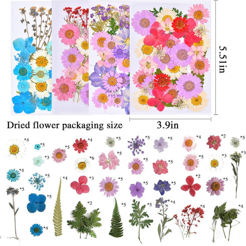 160 Pcs Dried Pressed Flowers for Resin, Real Pressed Flowers Dry Leaves Bulk Natural Herbs Kit for Scrapbooking DIY Art Crafts, Epoxy Resin Jewel...