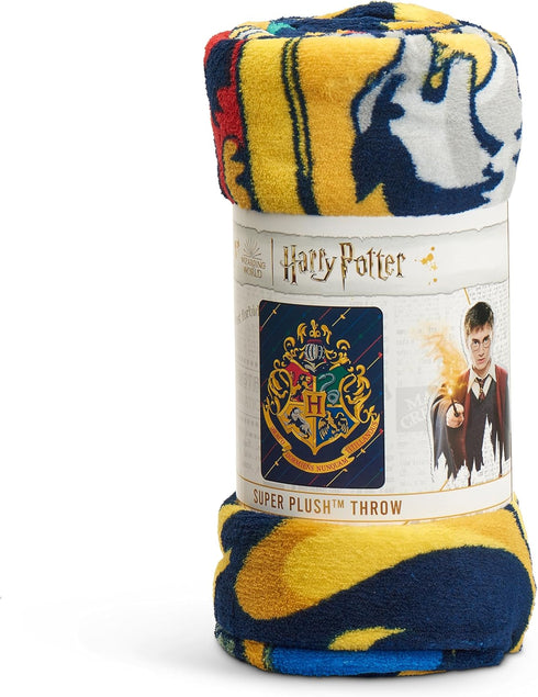 Northwest Harry Potter Micro Raschel Throw Blanket, 46" x 60", House Pinstripes...