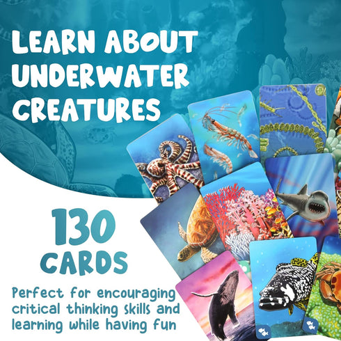 Genius Games Ecosystem: Coral Reef - A Mensa Recommended Family Card Game About Aquatic Animals, Their Habitats & Food Chain | A Light Educational...