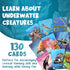 Genius Games Ecosystem: Coral Reef - A Mensa Recommended Family Card Game About Aquatic Animals, Their Habitats & Food Chain | A Light Educational...