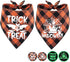 Glow in The Dark Halloween Dog Bandana Scarf, 2 Pack Holiday Fall Dog Bandanas Plaid Triangle Reversible Scarves Bibs for Small Medium Large Dogs ...