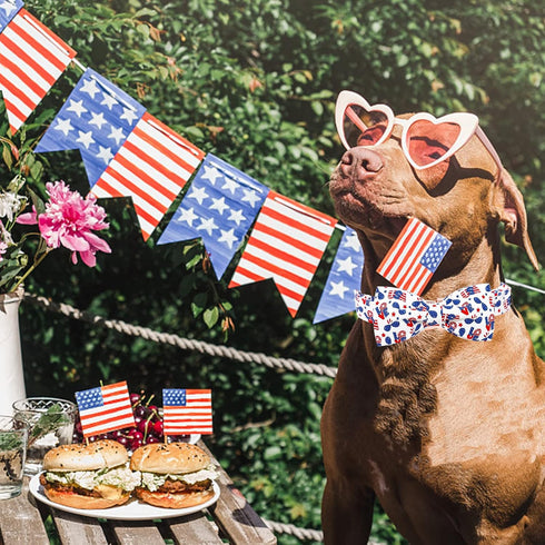 Elegant little tail Independence Day Dog Collar, American Flag Bowtie Dog Collars 4th of July American Pet Gift Adjustable Soft Puppy Collar for M...