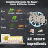 10 Pack Natural Mouse Repellent Pouches Peppermint Oil to Repel Mice and Rats, Rodent Repellent Pest Control Pouches Mice Repellent for House Mous...