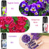 Blossom Essential Oils Set, 6x15ml Aromatherapy Oil Kit for Diffuser, Humidifier, Air Purifier- Aqua Lily, Water Hyacinth, Jasmine & Camellia, Eng...