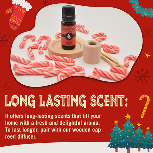 Eternal Essence Oils Holiday Fragrance Oil Gift Set - 6 Long Lasting Scents in 10mL Glass Bottles - Oils for Diffusers, Soap & Candle Making, Arom...