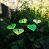SunCatcher Garden Decor Ornaments Hearts Set of 5 Decorative Garden Stakes 25cm, 10 inch high Outdoor Yard Accessory, Lovely Gardeners Gift, Colou...