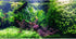 Aquarium Background Underwater Ocean Fish Coral Reef Roots Terrarium Background Tropical Scenery Aquatic Plants Jungle Style Aquarium Backdrop Fis...