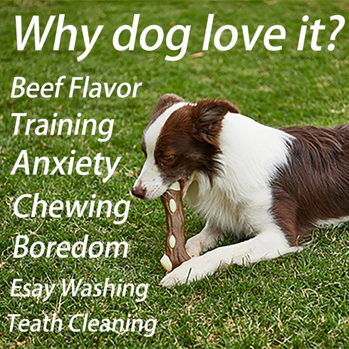 Dog Bones Chew Toys for Aggressive Chewers, 2 Pack Real Beef Flavor,Indestructible Dog Teething Chew Toys for Large/Medium/Small Puppies Breed,Tou...