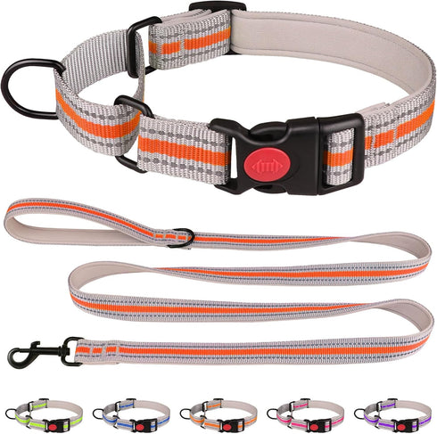 Martingale Collar for Dogs,Soft Neoprene Padded Reflective Martingale Collar and Leash Set Safety Buckle Nylon Martingale Collar for Puppy(Orange&...