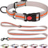 Martingale Collar for Dogs,Soft Neoprene Padded Reflective Martingale Collar and Leash Set Safety Buckle Nylon Martingale Collar for Puppy(Orange&...
