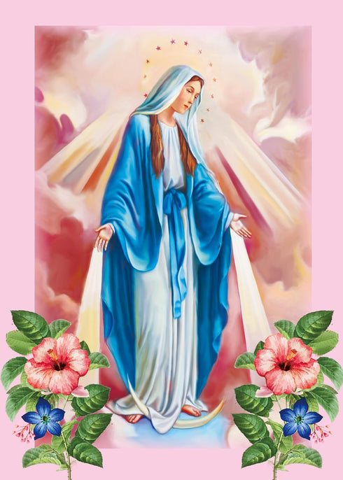 Virgin Mary Stamped Cross Stitch Kits - Pre-Printed Cross Stitch Kits for Beginners Adults,11 CT Patterns Dimensions Embroidery Kits Arts Craft Ki...