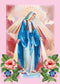 Virgin Mary Stamped Cross Stitch Kits - Pre-Printed Cross Stitch Kits for Beginners Adults,11 CT Patterns Dimensions Embroidery Kits Arts Craft Ki...