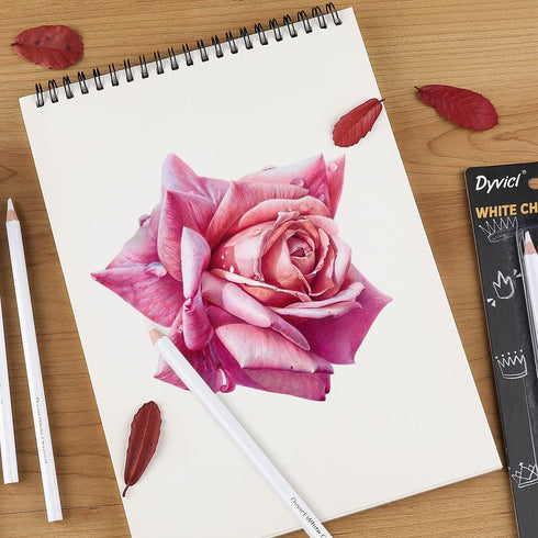 Dyvicl White Charcoal Pencils Drawing Set, 6 Pcs Sketch Highlight Pencil Hard Charcoal White Pencils for Drawing, Sketching, Shading, Blending...