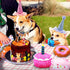 DoreenBow 5 Pack Dog Birthday Toys for Small Dogs Birthday Cake Squeaky Dog Toy Chew Toys Puppy Teething Toys Plush Birthday Box Gift for Dogs...