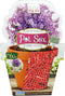 Set of 2-4" Brick Design Home and Garden Modern Pot Sox Flowerpot Cover - Great for Indoor and Outdoor!...