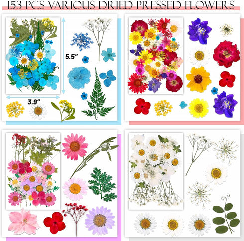 153 Pcs Dried Pressed Flowers for Crafts, Real Pressed Wildflowers Natural Dry Leaves Bulk with Tweezer for Epoxy Resin Jewelry Molds, Candle Soap...