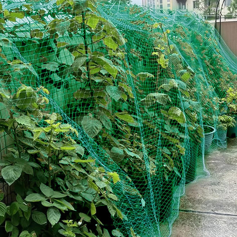 Bird Netting for Garden 13ft x 33ft Garden Netting Mesh for Protect Vegetable Plants Fruit Trees Netting Heavy Duty Bird Netting Garden Fence Chic...