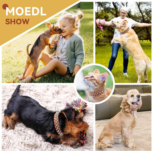 Spiked Dog Collar Brown Soft Pu Leather Funny Mushrooms Rivet Spike Studded Puppy Collar Adjustable Outdoor Pet Dog Collar for Small Medium Large ...
