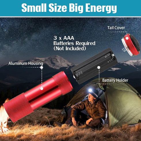 12 Pcs Mini Flashlights Bulk, Bright Aluminum Handheld Flash Lights with Lanyard, Small LED Flashlights for Kids Night Reading Emergency Hurricane...