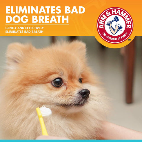 Arm & Hammer for Pets Dental Enzymatic Toothpaste for Dogs | No More Doggie Breath | Dog Toothpaste Safe for All Dogs and Puppies, Advanced Care, ...