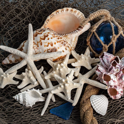 Nautical Crush Trading Starfish & Knobby Starfish Decor - (5) White Starfish 4-6" and (5) Knobby Starfish 2-3.5" - Beach Wedding Decor - Coastal P...