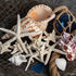 Nautical Crush Trading Starfish & Knobby Starfish Decor - (5) White Starfish 4-6" and (5) Knobby Starfish 2-3.5" - Beach Wedding Decor - Coastal P...