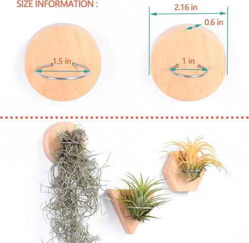 MITIME Air Plants Holders-Real Wood Live Air Plant Holders.Rustic Air Plant Stand,Wall-mounted to save space.(Plants not included)(Mix Set of 6)...