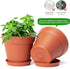 6 Pack Plastic Plant Pots with Drainage Holes and Tray, 4 inch Thickened Indoor Planters Seedlings Nursery Pots for Flowers, African Violet, Succu...