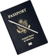 Set of 2 Small Pens (3.35") for Pocket, Wallet, Planner, Purse or Passport...