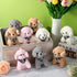 12 Pcs Dog Plush Keychain Bulk 5 Inch Small Dog Stuffed Animal Toy Kawaii Cute Puppy Plush Keychain for Backpack Birthday Party Favor Wedding Baby...