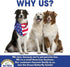 Beef Dog Treats – Made in USA Only – All Natural, Meaty Beef Tips – Premium Slow Roasted American Beef – Grass Fed, Farm Raised – Crunchy, Grain F...