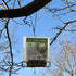 Songbird Essentials Suet Saver Upside Down Suet Feeder, Rigid Plastic Case with Suet Cage Bottom, Holds One Bird Seed Suet Cake...