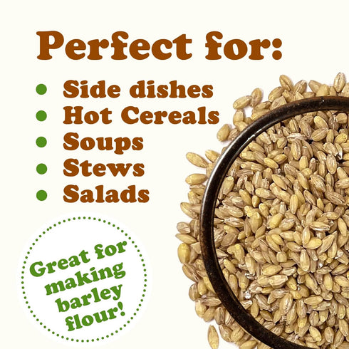 Food to Live Organic Hulled Barley, 8 Ounces – Non-GMO, 100% Whole Grain, Kosher, Vegan. Suited for Home Brewing, Grinding. High Fiber. Great for ...