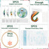Yinder Embroidery Starter Kit for Beginners 5 Set Cross Stitch Kits for Adults with Floral and Bee Pattern Include 2 Embroidery Hoops, 5 Embroider...