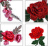 BronaGrand 10 Pieces 5 Pairs Embroidered Patches Rose Flower Sew on Patch Applique for DIY Clothing, Jeans,Sewing...