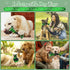 Dog Toys for Aggressive Chewers: Dog Toys for Large Dogs - Tough Dog Toys - Large Dog Toys - Indestructible Dog Toys for Large/Medium/Super Chewer...