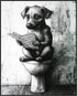 Posterizer 1 pcs-drawing style art-funny dog on toilet reading newspaper 5-Bathroom Restroom Art-Art for Animal Lovers-Decor for Home & Office- un...