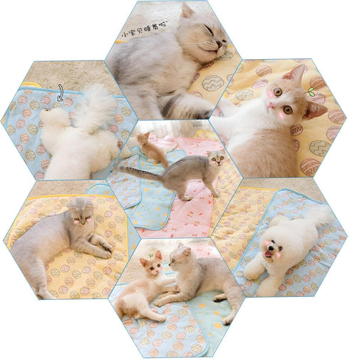 NACOCO Pet Cooling Mat Cat Dog Cushion Pad Summer Cool Down Comfortable Soft for Pets and Adults (L, Blue)...