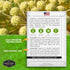1 Pack Angelica Seeds for Planting with Instructions to Grow Medicinal Herb Angelica Archangelica Live Plants in Your Home Herb Garden - Non-GMO H...