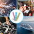 50 Pcs Heat Shrink Butt Connectors Kit,Heat Shrink Wire Connectors,Waterproof Insulated Marine Automotive Crimp Terminals Butt Splice Connectors f...