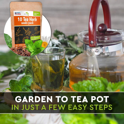 10 Herbal and Medical Tea Seeds Pack - Heirloom and Non GMO, Grown in USA - Indoor or Outdoor Garden - Chamomile, Lavender, Mint, Lemon Balm, Catn...