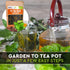 10 Herbal and Medical Tea Seeds Pack - Heirloom and Non GMO, Grown in USA - Indoor or Outdoor Garden - Chamomile, Lavender, Mint, Lemon Balm, Catn...